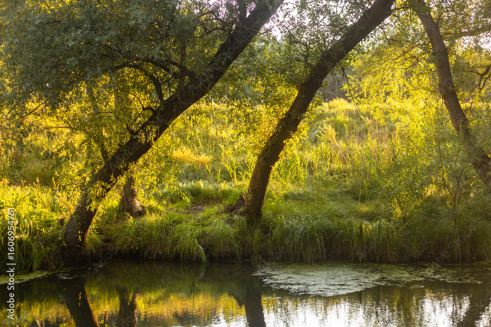 Fototapeta premium Golden Sunset Reflected in Lake
