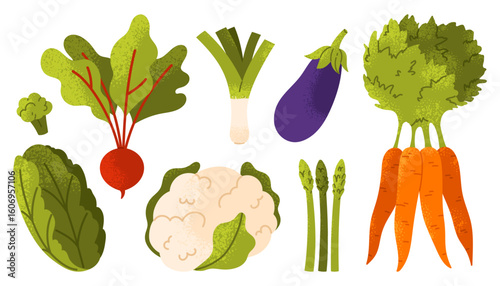 Healthy farm-grown vegetables set. Fresh organic food and natural harvest collection. Crops and organic food lifestyles. Vector illustration in cartoon style. Isolated on white background