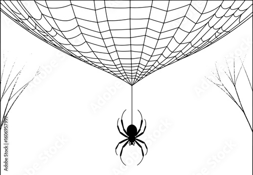 Black spider hanging from intricate web with delicate branches white