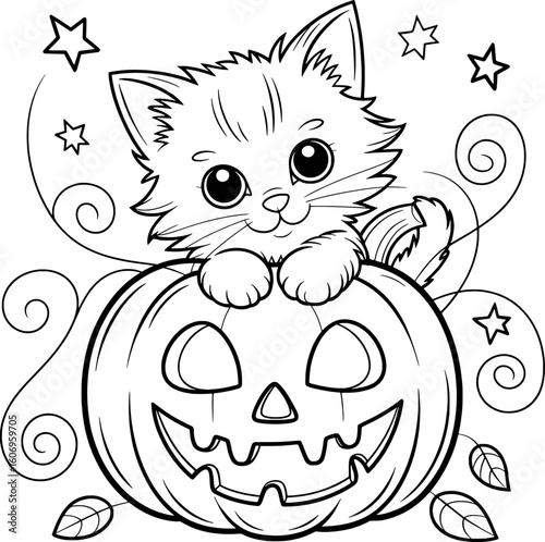 Cute kitten sitting on a carved pumpkin with stars and leaves jackolantern halloween