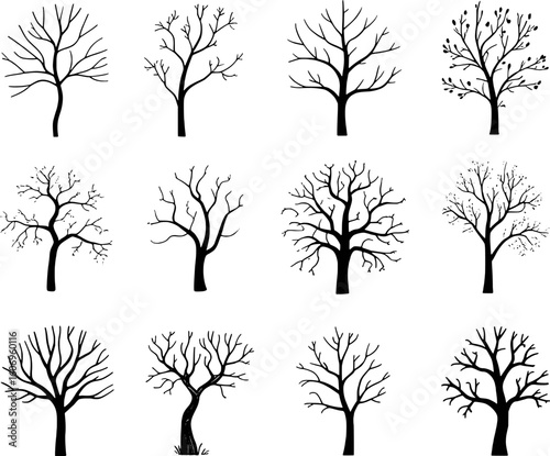 Diverse bare tree silhouettes with intricate branching patterns vector black