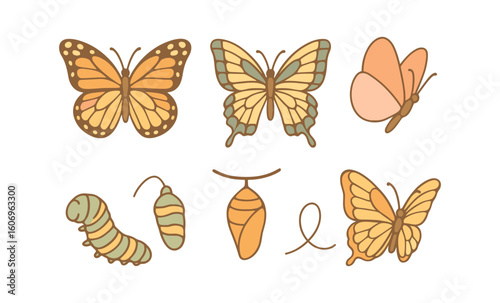 Butterfly life cycle in pastel tones: metamorphosis journey from caterpillar to butterfly