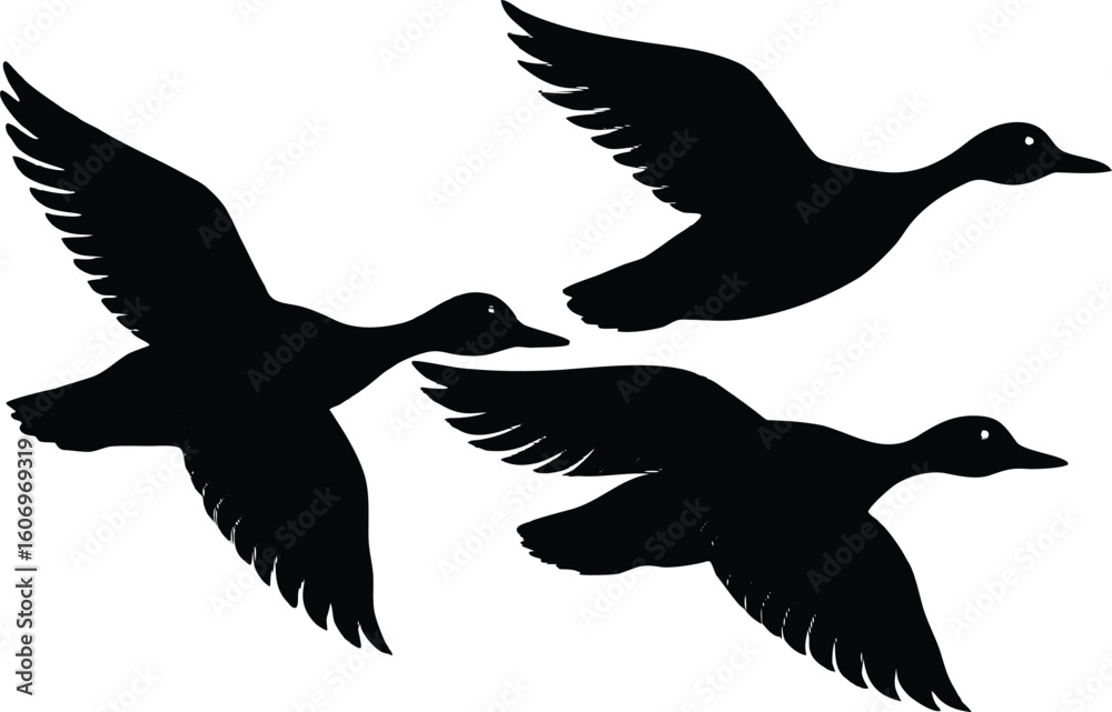 Obraz premium duck in flight black silhouette vector,pintail duck flying icon illustration