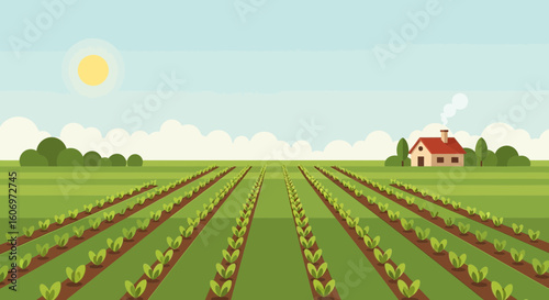 Expansive Farm Landscape with Cultivated Crop Rows and a Distant Rural House