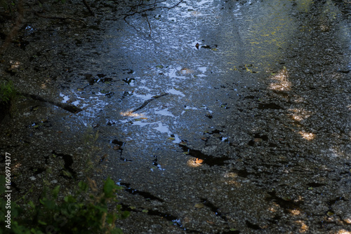 Puddles on the road in the forest. Abstract background.