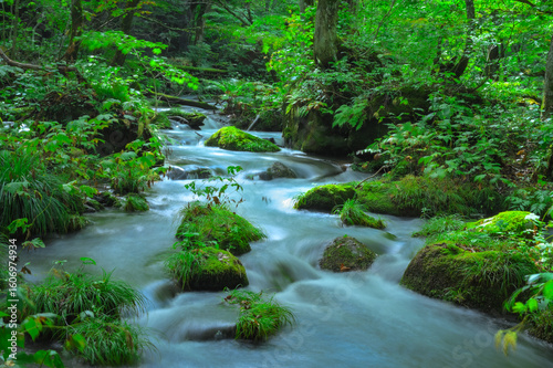 青森・奥入瀬渓流の神秘的な自然美