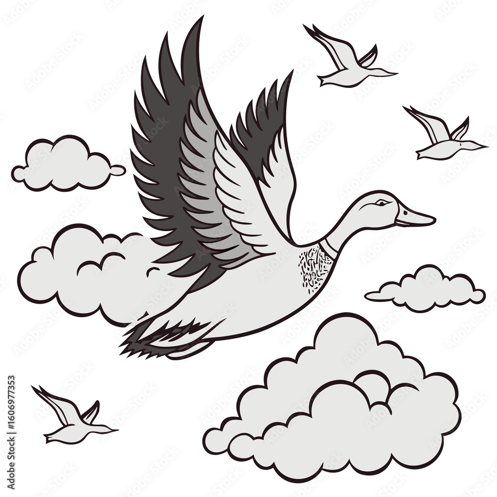Fototapeta premium vector illustration of a bird