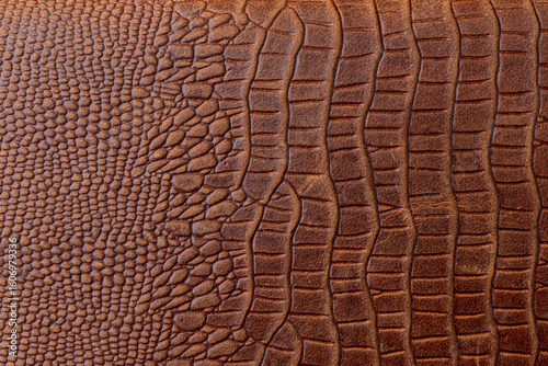 crocodile, alligator brown skin background genuine leather texture background.