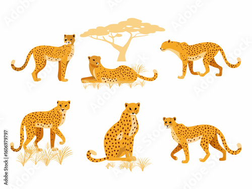 Photography set of wild animals