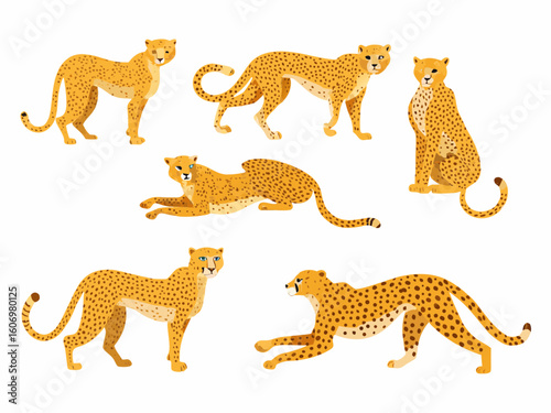 Photography set of wild animals