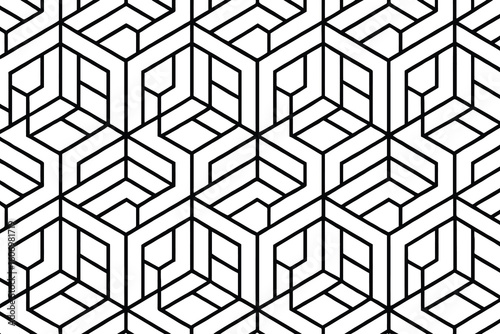Intricate black and white geometric hexagonal pattern design