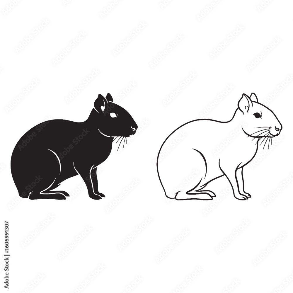 Fototapeta premium The Agouti Body Outline Package - Silent Feeder - Small Ears - Agouti silhouette - Agouti lineart - Agouti vector - silhouette & lineart of Agouti
