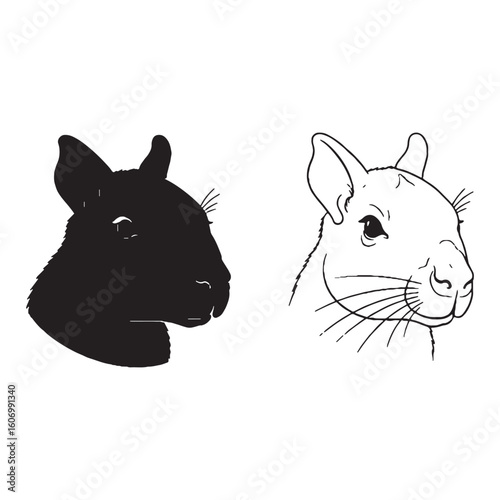 An Agouti Side View Art - Patient Forager - Keen Senses - Agouti silhouette - Agouti lineart - Agouti vector - silhouette & lineart of Agouti

