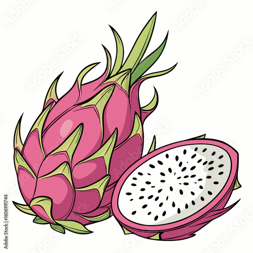 Vector art of a whole dragon fruit a half cut dragon fruit