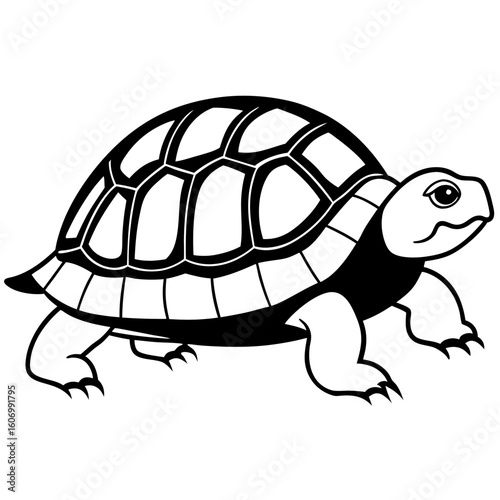 Vector art of a simple black white illustration of a tortoise