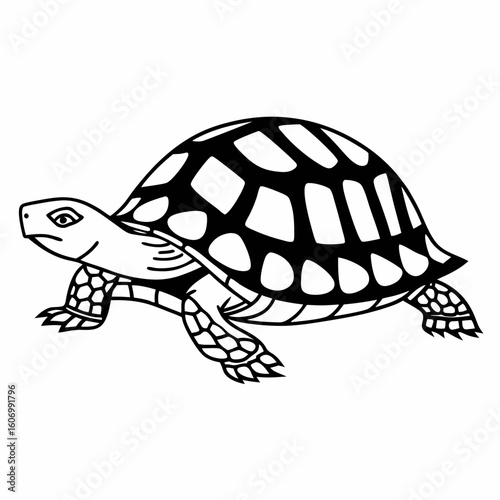 Vector art of a black white illustration of a tortoise walking
