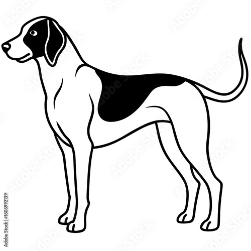 Vector art of a black white illustration of a hound dog