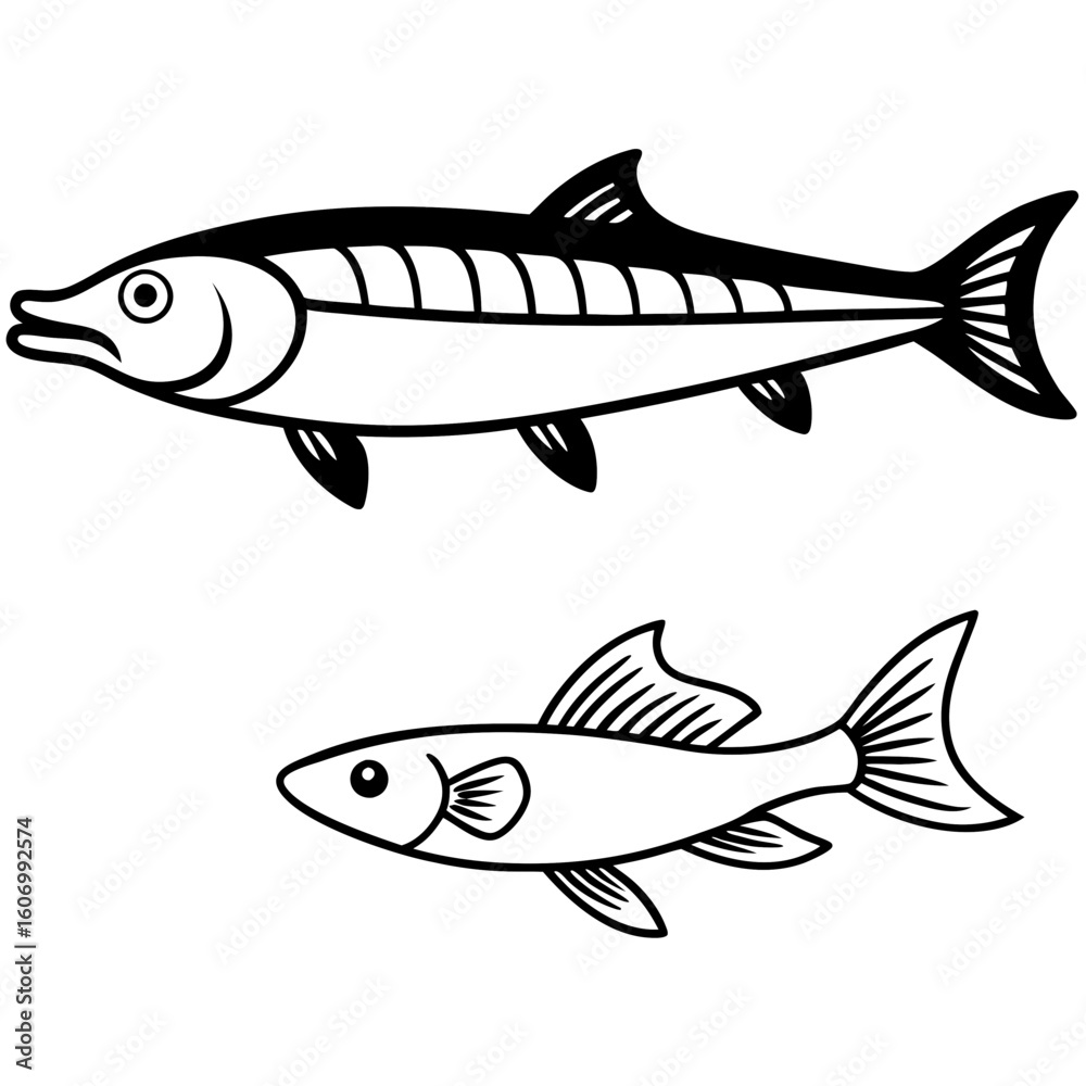 Fototapeta premium Vector art of two distinct fish illustrations on a clean white background