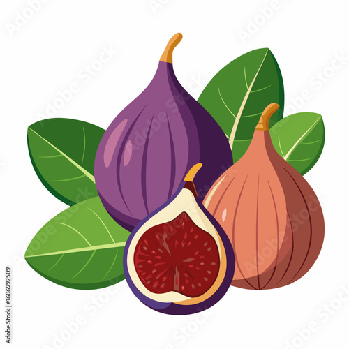 Vector art of fresh purple pink figs with green leaves