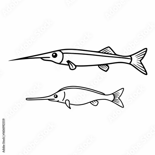 Vector art of two needlefish swimming in the ocean, isolated on white background
