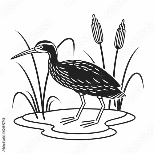 Vector art of a bird stands in water among reeds in a black white illustration