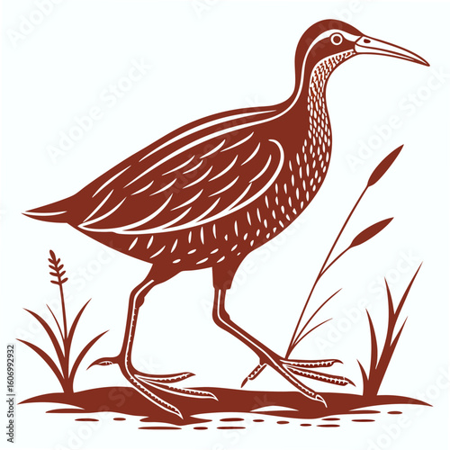 Vector art of a brown bird with long legs beak stands in grass