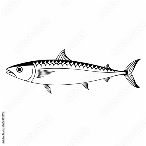 Vector art of a detailed black white illustration of a mackerel fish