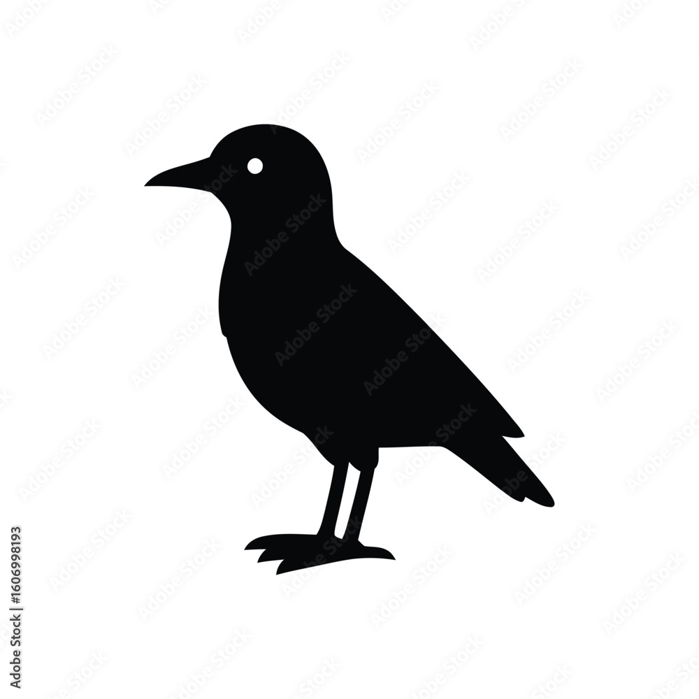 Obraz premium Silhouette of a black bird standing on white background