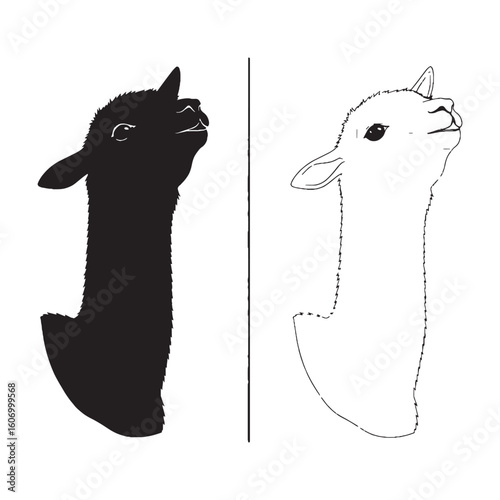 An Alpaca Pair - Peaceful Grazer - Big Eyes - Alpaca silhouette - Alpaca lineart - Alpaca vector - vector set of Alpaca

