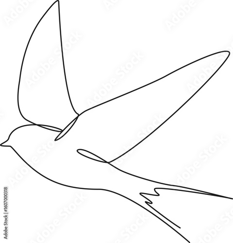 continuous single line drawing of swallow, flying bird, line art vector illustration