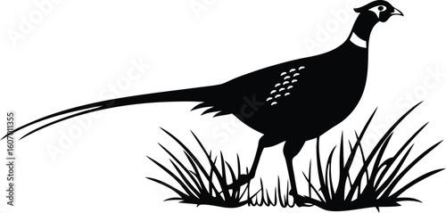 bird in the grass silhouette
