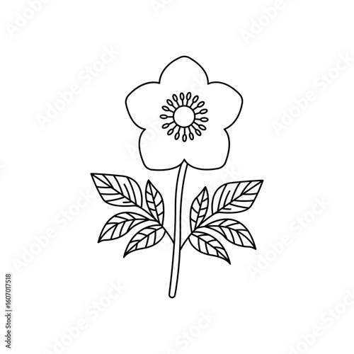 Black Hellebore Flower Line Icon: Winter Bloom & Garden Plant Outline
