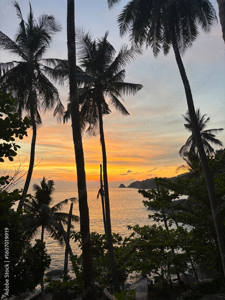 Obraz premium palm trees at sunset