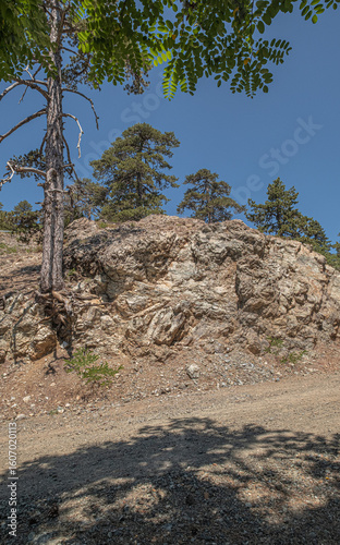 Troodos Geopark, located on Troodos
wooded peak, making up the deepest layer
of oceanic crust section, and Earth's upper
mantle, formed deep below sea-level more
than 90 million years ago, Cyprus