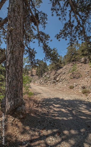 Troodos Geopark, located on Troodos
wooded peak, making up the deepest layer
of oceanic crust section, and Earth's upper
mantle, formed deep below sea-level more
than 90 million years ago, Cyprus