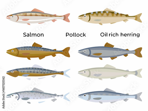 vector set of fish