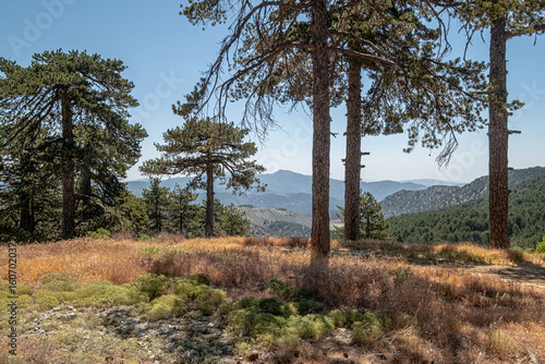 Troodos Geopark, located on Troodos
wooded peak, making up the deepest layer
of oceanic crust section, and Earth's upper
mantle, formed deep below sea-level more
than 90 million years ago, Cyprus