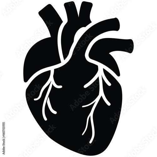 Anatomical heart graphic in bold black for medical designs or cardiology themed projects