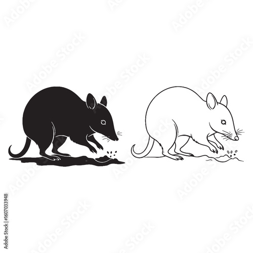 A Bandicoot Pair - Forest Dweller - Bushy Tail - Bandicoot silhouette - Bandicoot lineart - Bandicoot vector - vector set of Bandicoot

