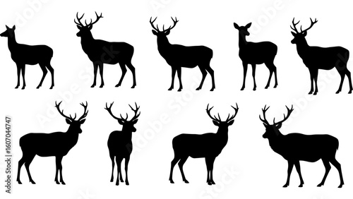 Set of deer silhouette illustration. Deer icon set vector design.