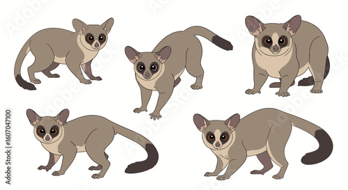 Animated bush baby characters in various playful poses  