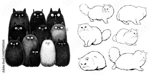 A set of domestic cats is depicted in a modern illustration with cute fluffy cats drawn by hand