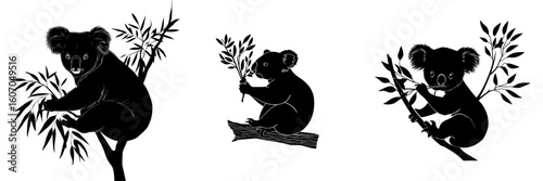 The illustration features a black silhouette of a koala bear sitting on a wood branch and eating leaves in a flat modern cartoon animal design on a white background