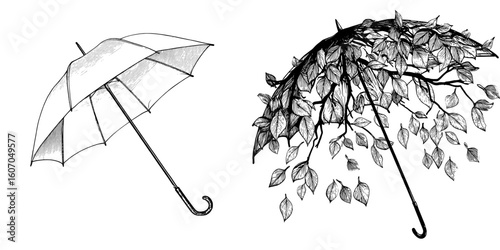 Umbrella coloring, linear drawing, outline, modern sketch, icon, monochrome, contour illustration, and black and white open umbrella