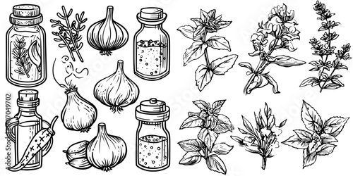 A collection of tasty spicy herbs for culinary use, presented in a modern hand-drawn illustration with a doodle style