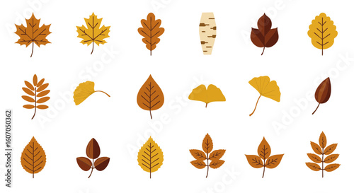 Golden autumn leaves flat vector set, 15 isolated icons