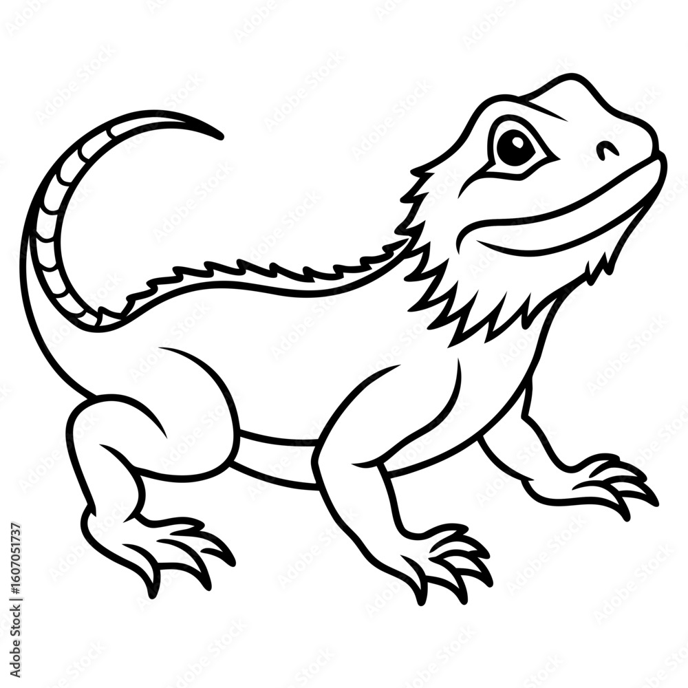 Obraz premium Bearded Dragon line art vector