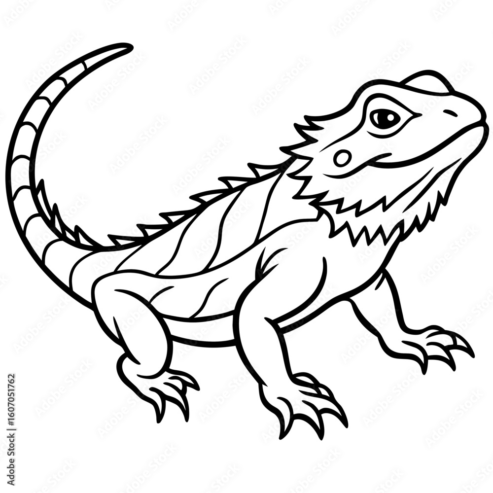 Bearded Dragon line art vector Bearded Dragon line art vector