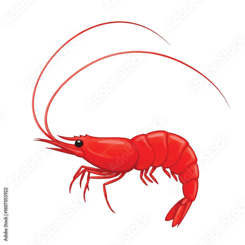 Red shrimp illustration against a plain white background.