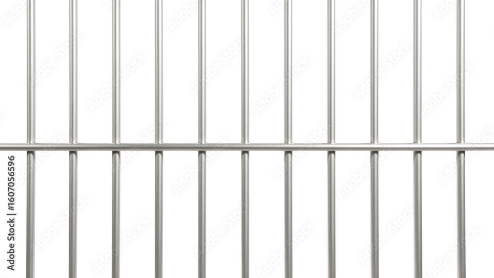 custom made wallpaper toronto digitalMetal bars create strong and secure barrier, often used various applications like fencing or enclosures. sleek design emphasizes durability